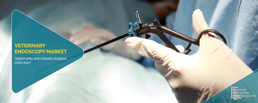 Veterinary-Endoscopy