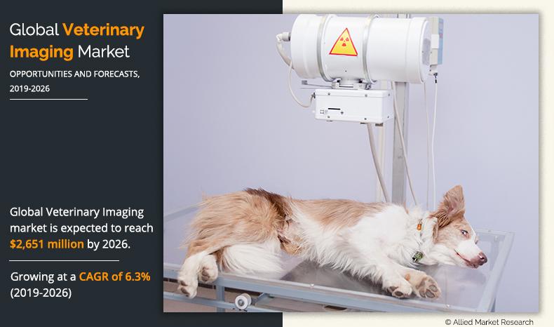 Veterinary Imaging Market	