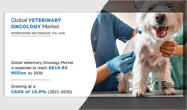 Veterinary oncology cheap