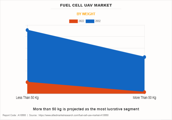 Fuel Cell UAV Market by Weight