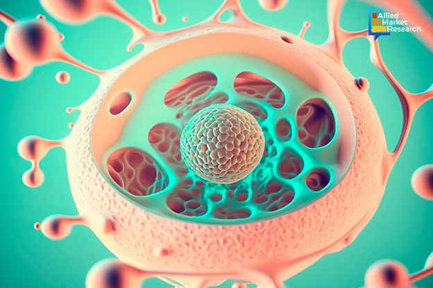Visualizing the Promising Role of Live Cell Imaging in Reshaping Biology Diagrams