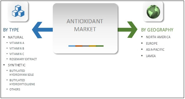 Antioxidants Market Segment Review