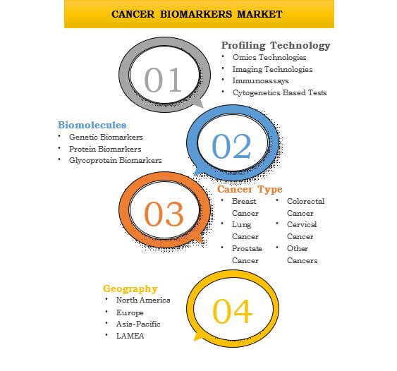 Global Cancer Biomarkers Market Segmentation