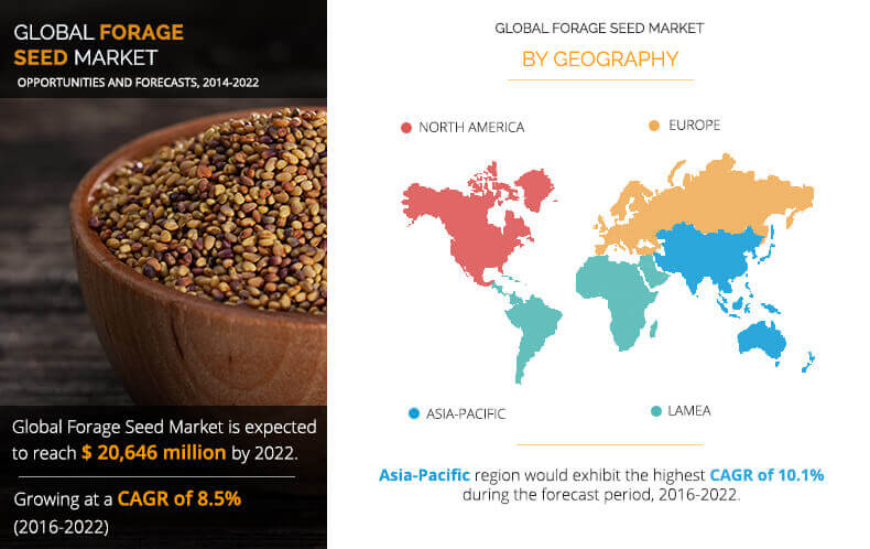 Forage Seed Market Size Share Industry Analysis 22 Forage Seed Market Size Share Industry Analysis 22