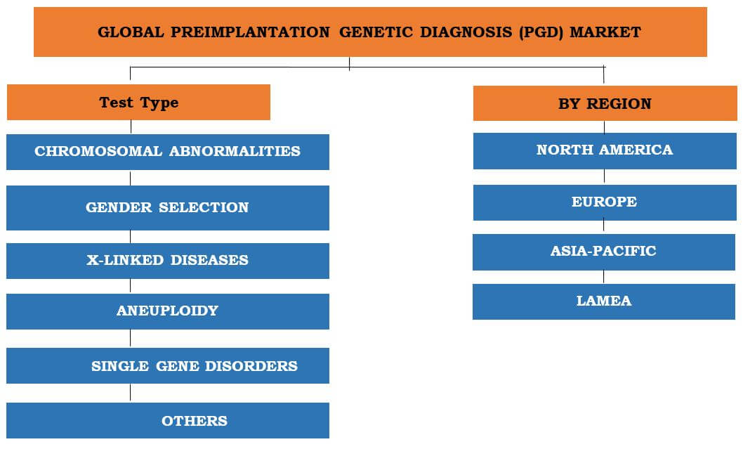 Segment Overview