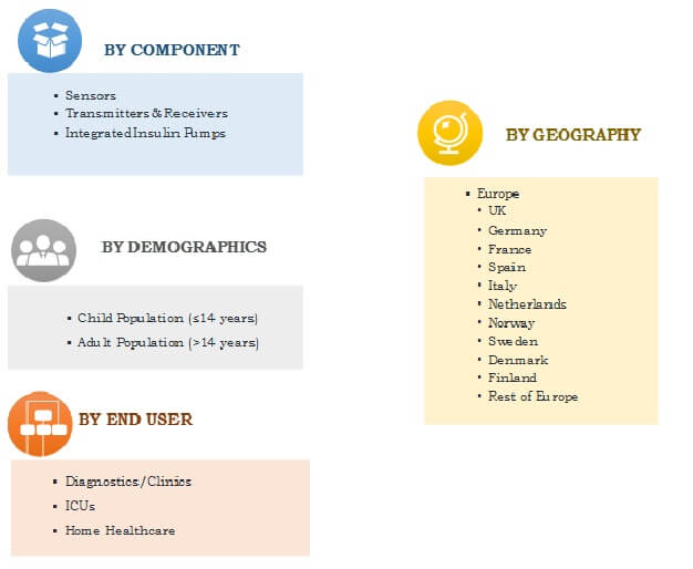 Europe Continuous Glucose Monitoring Systems Market Segmentation