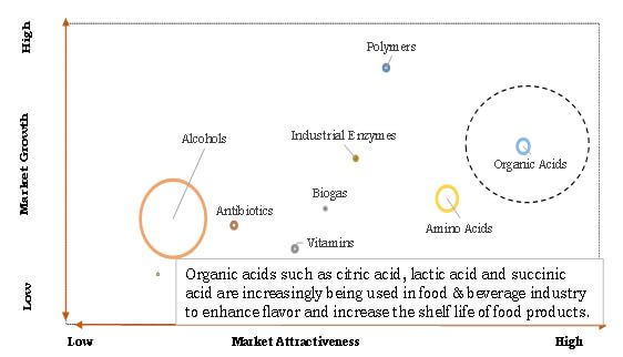 FERMENTATION PRODUCTS MARKET TOP INVESTMENT POCKET