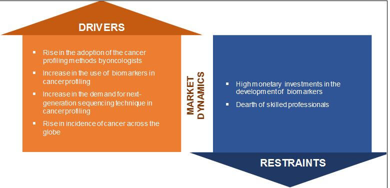 Global Cancer/Tumor Profiling Market: Drivers, and Restraints