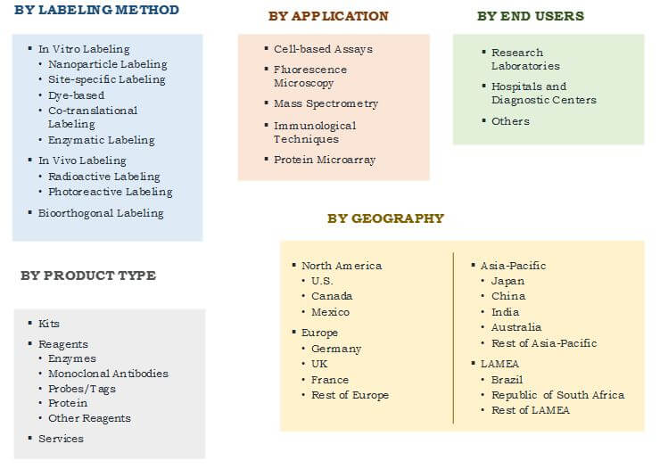 global protein labeling market segmentation 