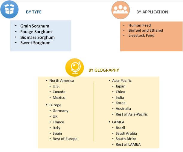 Global Sorghum and Sorghum Seeds Market Segmentation