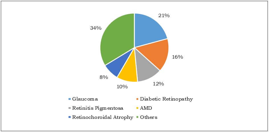 Leading Causes of Blindness in Japan