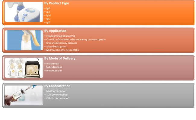 Malaysia IVIG Market Segmentation