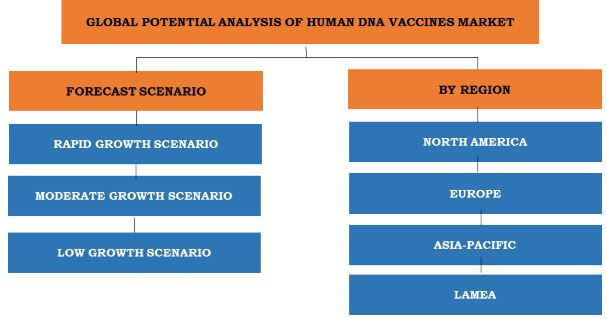 Potential analysis of human DNA vaccines market segmentation