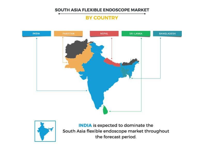 South Asia flexible endoscope market by country