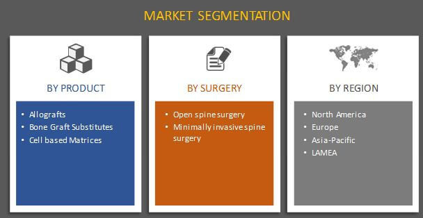 Spine Biologics Market Segmentation