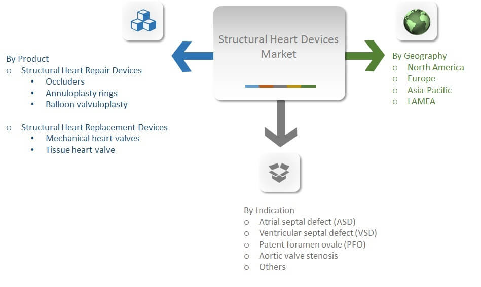 Structural Heart Devices Market Segmentation